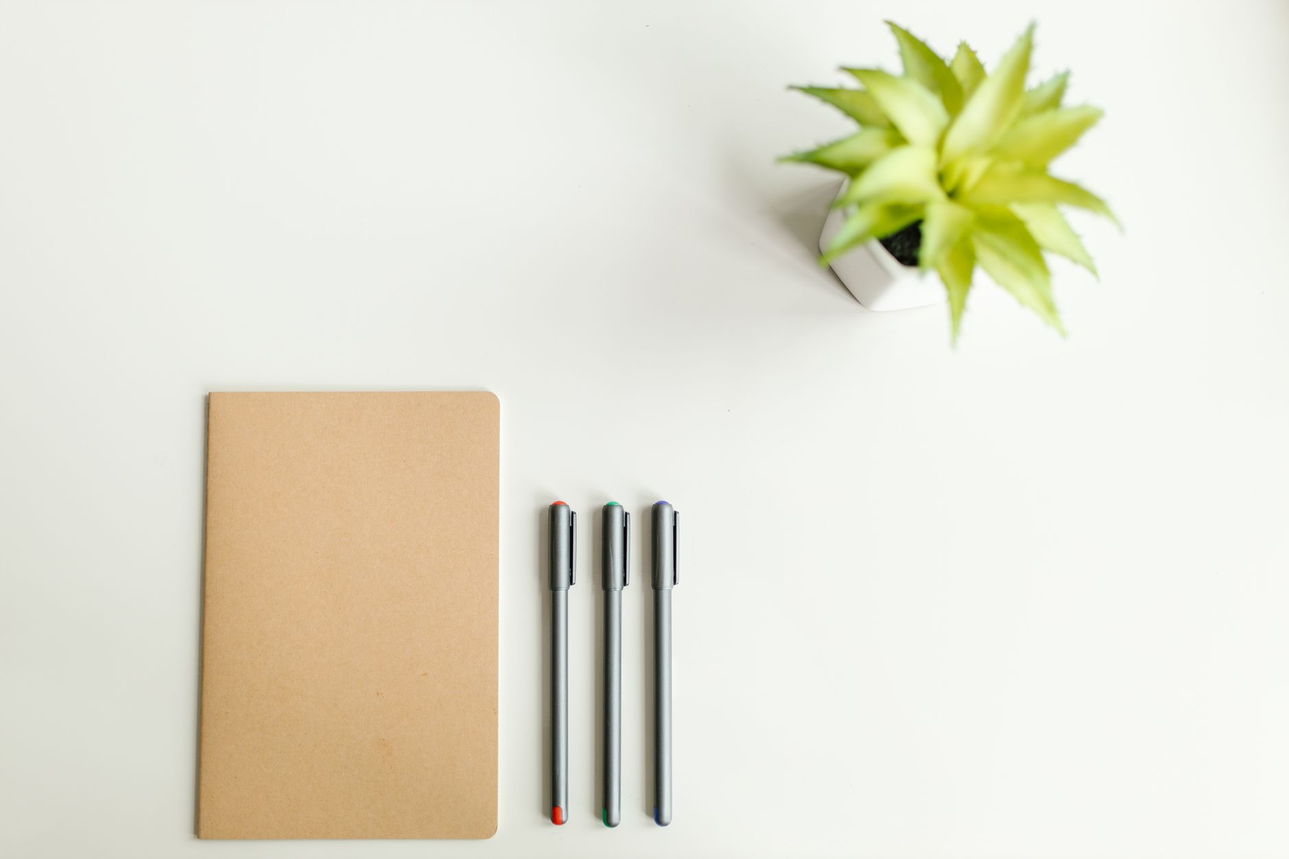 Individual practicing calm journaling in a well lit room with plants
